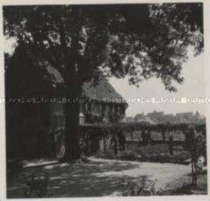 Rothenburg ob der Tauber, Motiv im Burggarten