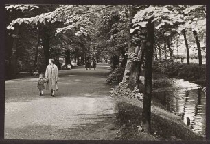Allee mit Spaziergängern. Detmold. 1959. sw-Papierabzug. Hans Saebens, Worpswede