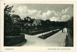 Chemnitz. Rosarium im Stadtpark
