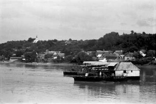 Novi Sad: Wassermühlen [Schiffsmühlen]