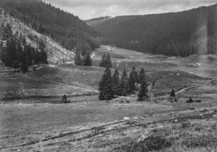 Berglandschaft : Blick über eine Hochebene mit Wiesenfläche, links abgeholzter Wald, im Hintergrund Bergwald auf den Hängen