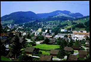 Wattwil: Ortsbild von Westen