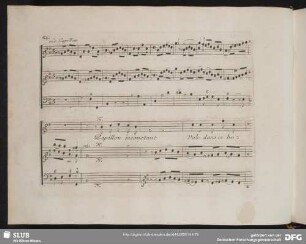 Air: Papillon inconstant