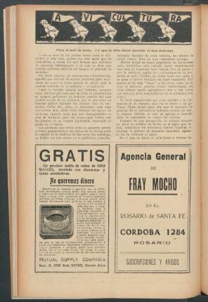 Avicultura : Para el mes de junio.- Lo que se debe hacer durante el mes próximo.