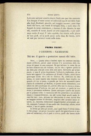 Prima Tribù. I Corritori. - Tachidromi.