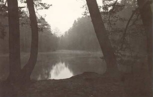 Donoperteich. Detmold. Hiddeser. Papierabzug
