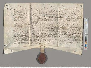 A: Abt Georg des Klosters Speinshart. S: A. E: Abt Friedrich des Klosters Michelfeld. Betreff: Vidimierung der inserierten Urkunde des Amberger Hofgerichts vom 21. Oktober 1502 (= Urkunde Nr. 369).