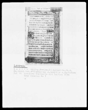 Psalter der Mechthild von Anhalt — Initiale D und Dreiviertelbordüre, Folio 11recto