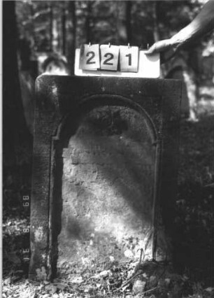 Grabstein 221 (Index: 99609857) Material: Sandstein Zustand: stark verwittert, völliger Textverlust Maße HxBxT: 84x58x15 cm Beschreibung: Stele, Schriftfeld eingetieft mit eingezogenem Rundbogenabschluß Symbolik: Blüte: Grabstein 221