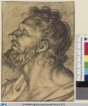 Profil eines bärtigen Mannes, nach links