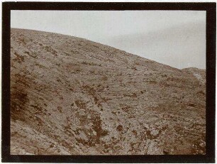 flexus beim Abstieg ins wadi fara