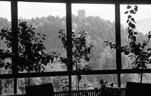 Waldkirch: Ausblick vom Kreiskrankenhaus; durch Blumenfenster zur Burg