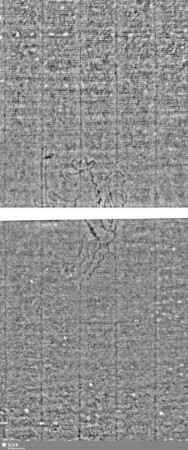 Löwe (steigend) mit Schwert / ES = Bd.1, S.31/32+71/72