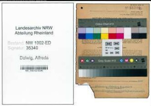 Entnazifizierung Alfreda Dalwig, geb. 27.02.1891 (Lehrerin)