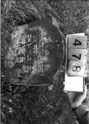 Grabstein 478 (Index: 100108041) Material: grauer Sandstein Zustand: verwittert, bewachsen, eingesunken, weitgehender Textverlust Maße HxBxT: 48x46x14 cm Beschreibung: Stele, eingezogener Segmentbogenabschluß Besonderheit: Kindergrab: Grabstein 478