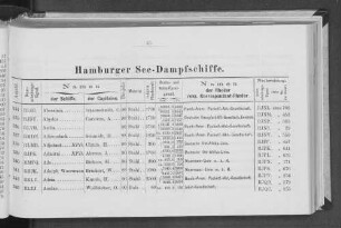 Hamburger See-Dampfschiffe.