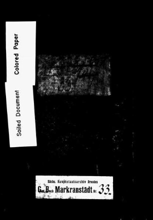 Gerichtshandelsbuch für Großdölzig, Bd. 2