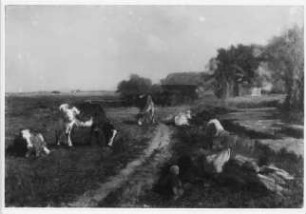 Viehweide