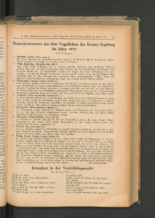 Erwachen in der Vorfrühlingsnacht