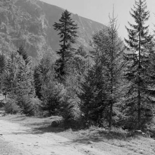 Landschaft um Rila-Gebirge ein Gebirge im Südwesten Bulgariens