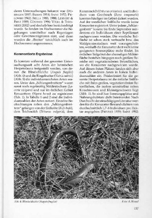 Abb. 4: Blindschleiche (Anguis fragilis)