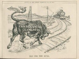 Bad for the bull