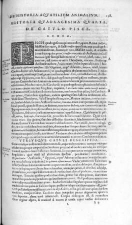 Historia Quadragesima Quarta. De Catulo Pisce