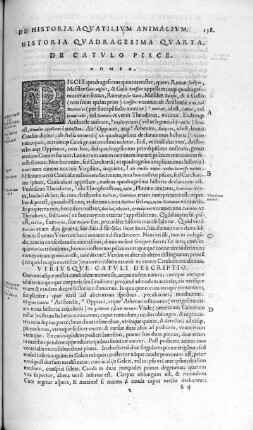 Historia Quadragesima Quarta. De Catulo Pisce