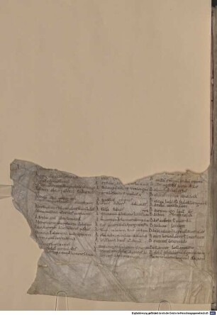 Collectiones in Epistulas et Evangelia - BSB Clm 6210