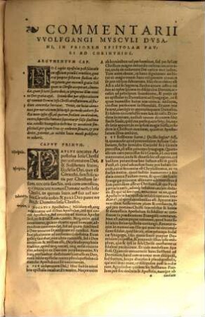 In ambas Apostoli Pauli ad Corinthios Epistolas Commentarii