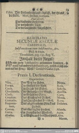 Illustratio Secundae Regulae Cardinalis. Substantivum cum Substantivo, [et]c.