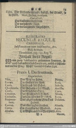 Illustratio Secundae Regulae Cardinalis. Substantivum cum Substantivo, [et]c.