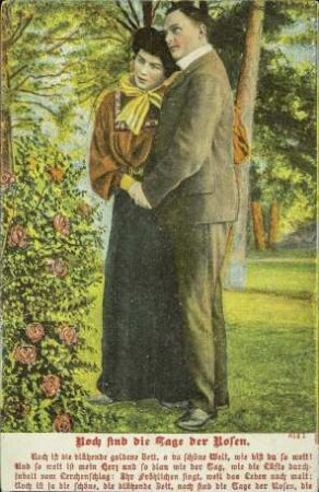 Noch sind die Tage der Rosen. - Noch ist die blühende [...]