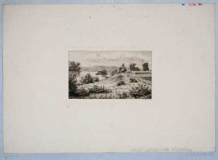Blick von Osten elbabwärts auf Schiffsmühle und Windmühle am rechten Elbufer in Kötitz bei Coswig westlich von Dresden