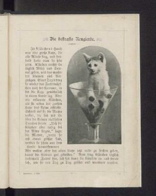 Die bestrafte Neugierde.