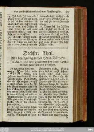 Sechster Theil. Von den Evangelischen Heyls-Güthern.