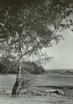 Autobahn Dresden-Berlin-Görlitz, 1937