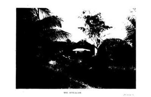 THE BUNGALOW