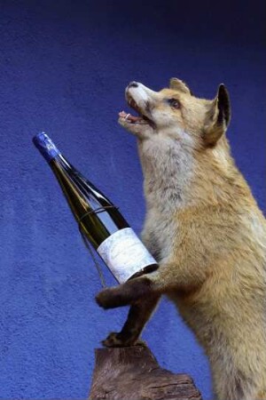 Frankreich. Alsace. Haut Rhin. Riquewihr. Stillleben vor Weinhandlung
