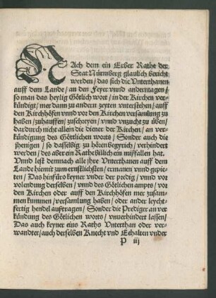 Nach dem ein Erber Rathe der Stat Nürmberg glaulich bericht werden/ ...
