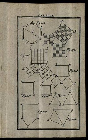 Tab. XXIV.