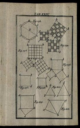 Tab. XXIV.
