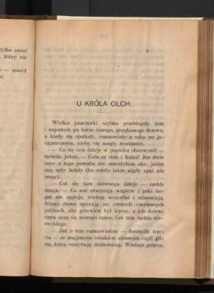 U Króla Olch.