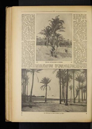 Die Mündung des Wadi El=Arisch ins Meer.