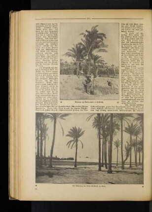 Die Mündung des Wadi El=Arisch ins Meer.