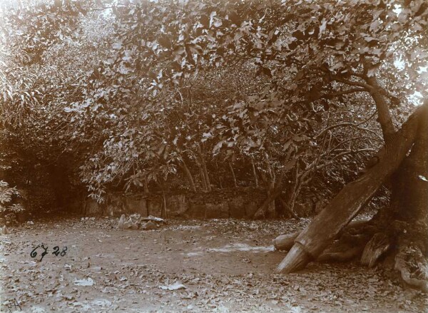 "Stone wall around grave site. at Dip Point."