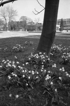 Frühlingstag im Botanischen Garten