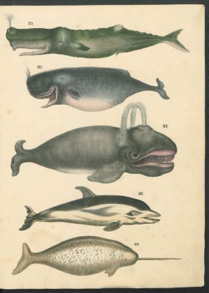 Tafel: [Fig. 165.-169.]