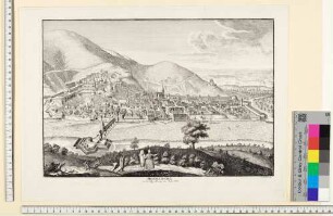 Heidelberg, Stadt und Schloss von Norden