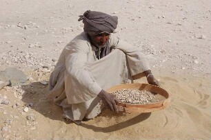 Luxor - Arbeiter siebt Sand : Arbeiter im Tal der Könige / Luxor, Theben-West, aufgenommen 2006